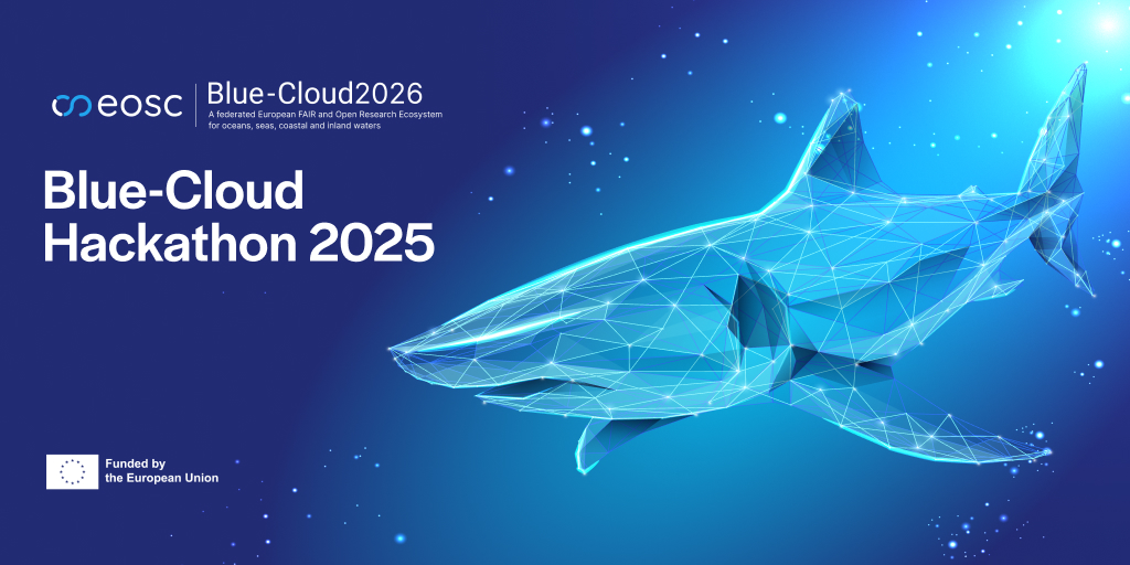 Online hackathon use case: The Blue-Cloud Hackathon 2025